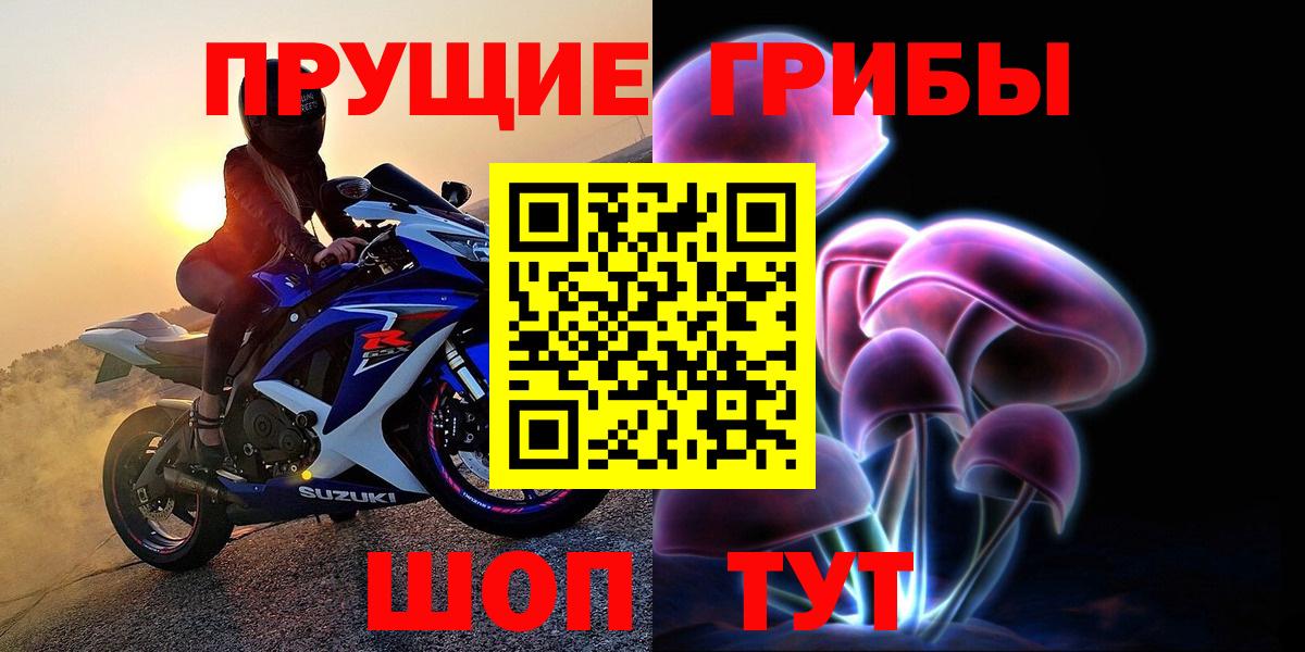 Псилоцибиновые грибы GOLDEN TEACHER Бугульма