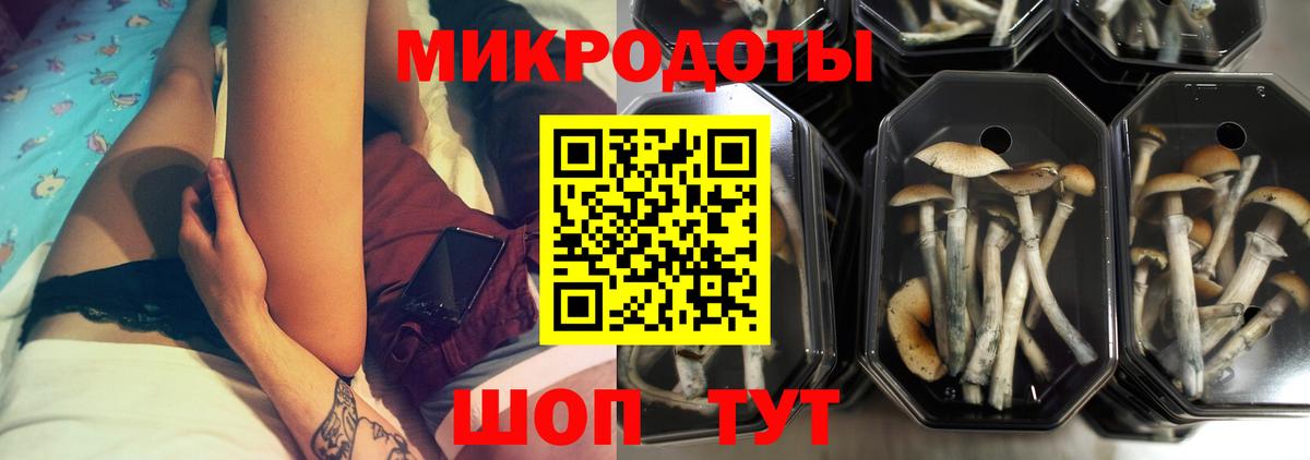 Бугульма  наркотики  Вход с VPN  Галлюциногенные грибы MAGIC MUSHROOMS 